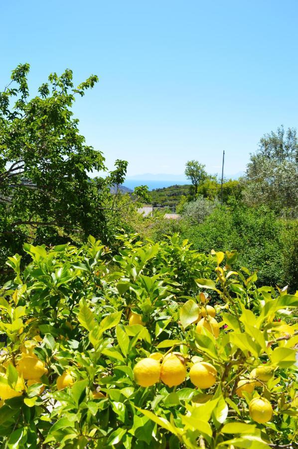 Alikias Country House Panormos  Exterior foto