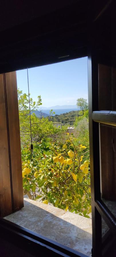 Alikias Country House Panormos  Exterior foto