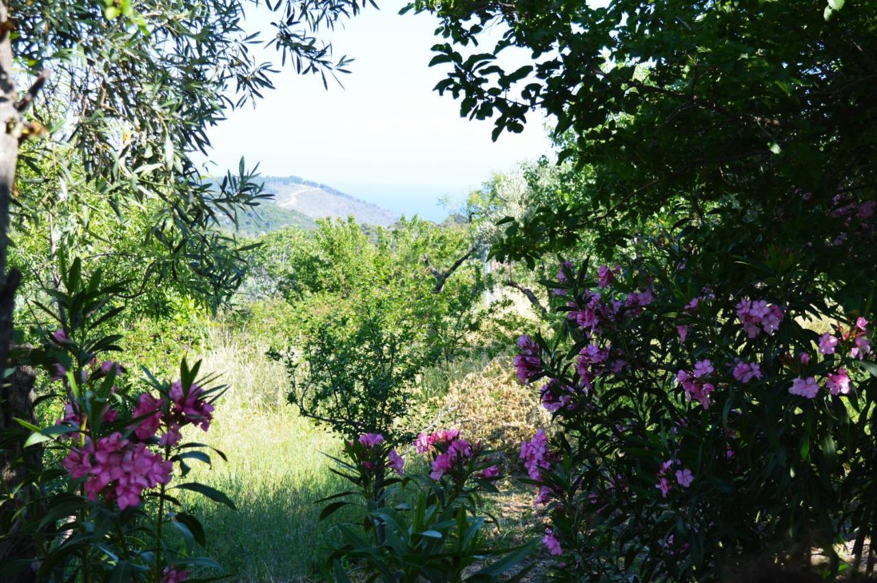 Alikias Country House Panormos  Exterior foto